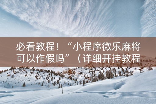 必看教程！“小程序微乐麻将可以作假吗”（详细开挂教程）-哔哩哔哩