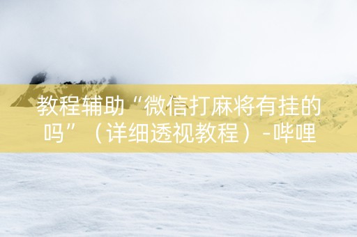 教程辅助“微信打麻将有挂的吗”（详细透视教程）-哔哩哔哩