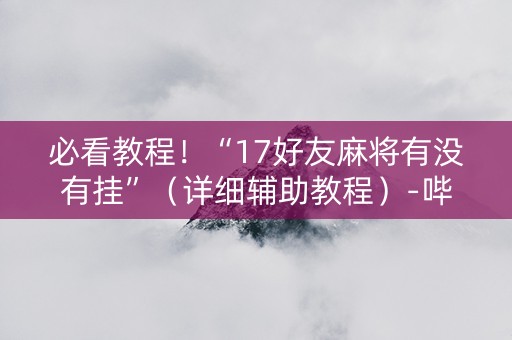 必看教程！“17好友麻将有没有挂”（详细辅助教程）-哔哩哔哩