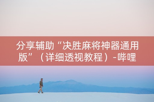 分享辅助“决胜麻将神器通用版”（详细透视教程）-哔哩哔哩