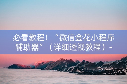 必看教程！“微信金花小程序辅助器”（详细透视教程）-哔哩哔哩