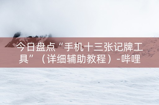 今日盘点“手机十三张记牌工具”（详细辅助教程）-哔哩哔哩