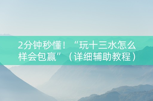 2分钟秒懂！“玩十三水怎么样会包赢”（详细辅助教程）-哔哩哔哩