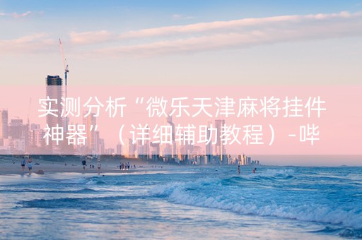 实测分析“微乐天津麻将挂件神器”（详细辅助教程）-哔哩哔哩