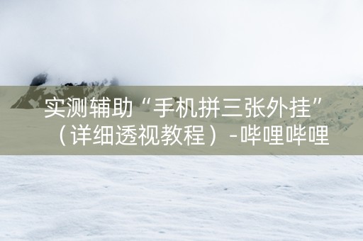 实测辅助“手机拼三张外挂”（详细透视教程）-哔哩哔哩