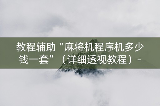 教程辅助“麻将机程序机多少钱一套”（详细透视教程）-哔哩哔哩
