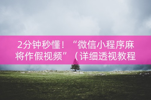 2分钟秒懂！“微信小程序麻将作假视频”（详细透视教程）-哔哩哔哩