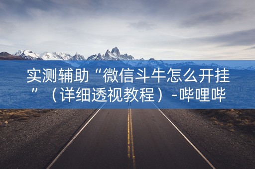 实测辅助“微信斗牛怎么开挂”（详细透视教程）-哔哩哔哩