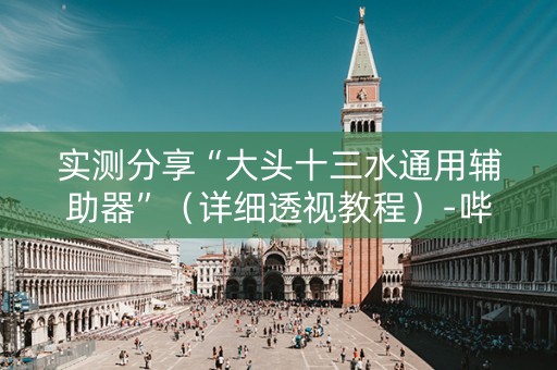 实测分享“大头十三水通用辅助器”（详细透视教程）-哔哩哔哩