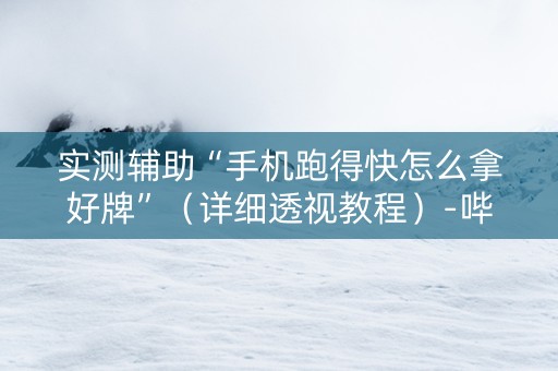 实测辅助“手机跑得快怎么拿好牌”（详细透视教程）-哔哩哔哩