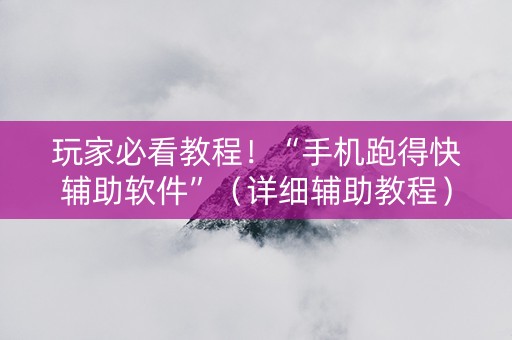 玩家必看教程！“手机跑得快辅助软件”（详细辅助教程）-哔哩哔哩