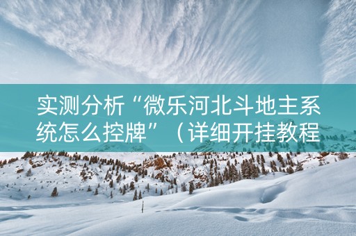 实测分析“微乐河北斗地主系统怎么控牌”（详细开挂教程）-哔哩哔哩