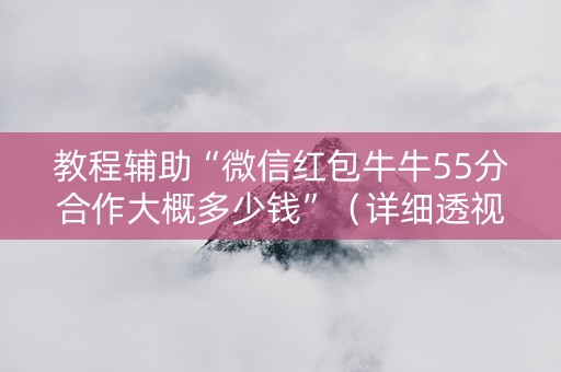 教程辅助“微信红包牛牛55分合作大概多少钱”（详细透视教程）-哔哩哔哩