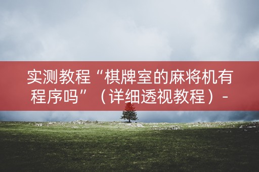 实测教程“棋牌室的麻将机有程序吗”（详细透视教程）-哔哩哔哩