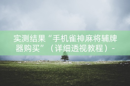 实测结果“手机雀神麻将辅牌器购买”（详细透视教程）-哔哩哔哩