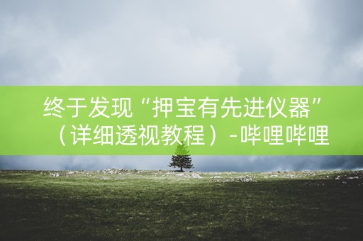 终于发现“押宝有先进仪器”（详细透视教程）-哔哩哔哩
