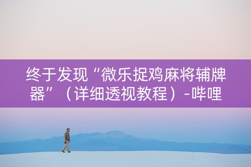 终于发现“微乐捉鸡麻将辅牌器”（详细透视教程）-哔哩哔哩