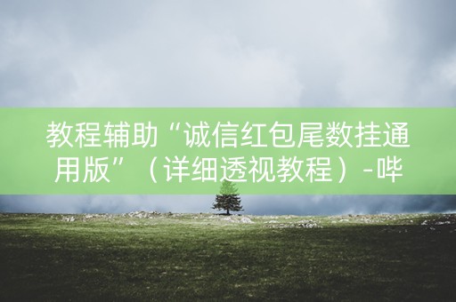 教程辅助“诚信红包尾数挂通用版”（详细透视教程）-哔哩哔哩