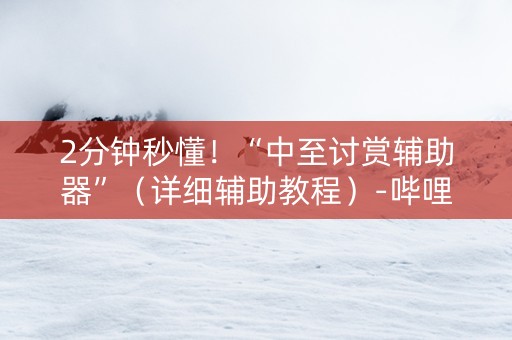 2分钟秒懂！“中至讨赏辅助器”（详细辅助教程）-哔哩哔哩