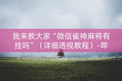 我来教大家“微信雀神麻将有挂吗”（详细透视教程）-哔哩哔哩