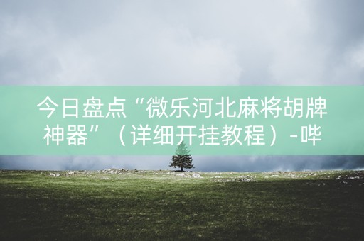 今日盘点“微乐河北麻将胡牌神器”（详细开挂教程）-哔哩哔哩