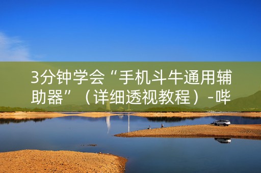 3分钟学会“手机斗牛通用辅助器”（详细透视教程）-哔哩哔哩
