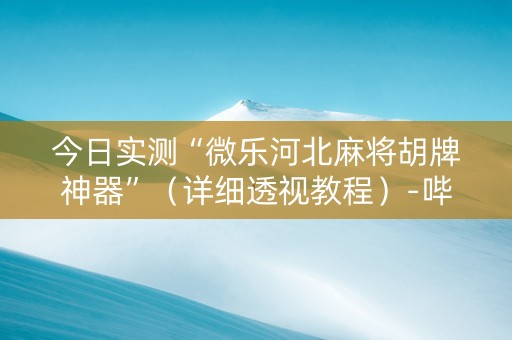 今日实测“微乐河北麻将胡牌神器”（详细透视教程）-哔哩哔哩