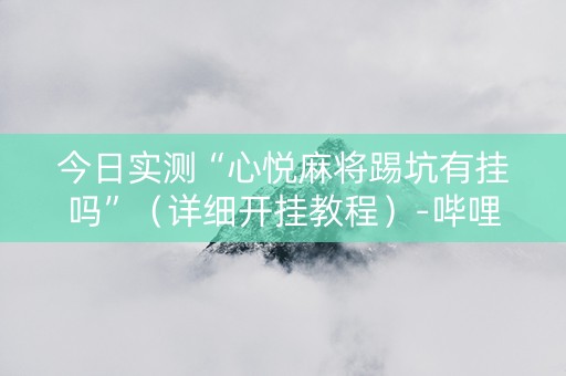 今日实测“心悦麻将踢坑有挂吗”（详细开挂教程）-哔哩哔哩