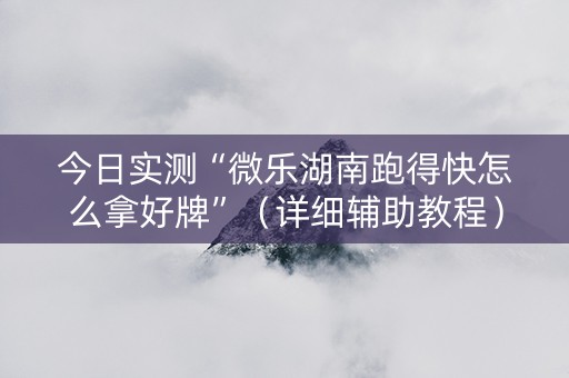 今日实测“微乐湖南跑得快怎么拿好牌”（详细辅助教程）-哔哩哔哩