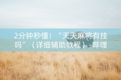 2分钟秒懂！“天天麻将有挂吗”（详细辅助教程）-哔哩哔哩