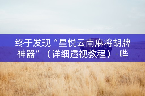 终于发现“星悦云南麻将胡牌神器”（详细透视教程）-哔哩哔哩