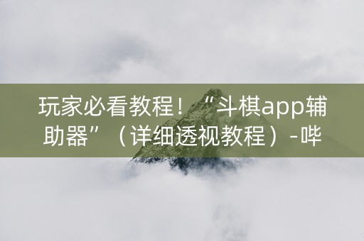 玩家必看教程！“斗棋app辅助器”（详细透视教程）-哔哩哔哩