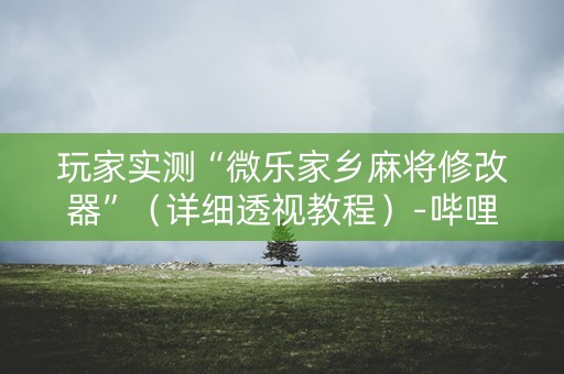 玩家实测“微乐家乡麻将修改器”（详细透视教程）-哔哩哔哩