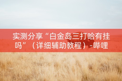 实测分享“白金岛三打哈有挂吗”（详细辅助教程）-哔哩哔哩