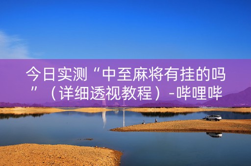 今日实测“中至麻将有挂的吗”（详细透视教程）-哔哩哔哩
