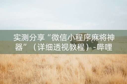 实测分享“微信小程序麻将神器”（详细透视教程）-哔哩哔哩