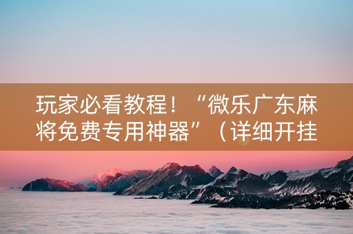 玩家必看教程！“微乐广东麻将免费专用神器”（详细开挂教程）-哔哩哔哩