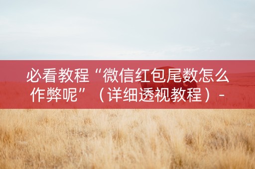必看教程“微信红包尾数怎么作弊呢”（详细透视教程）-哔哩哔哩