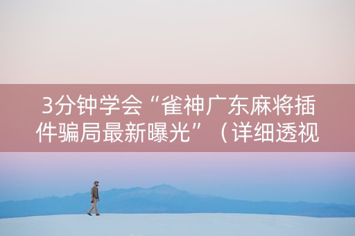 3分钟学会“雀神广东麻将插件骗局最新曝光”（详细透视教程）-哔哩哔哩
