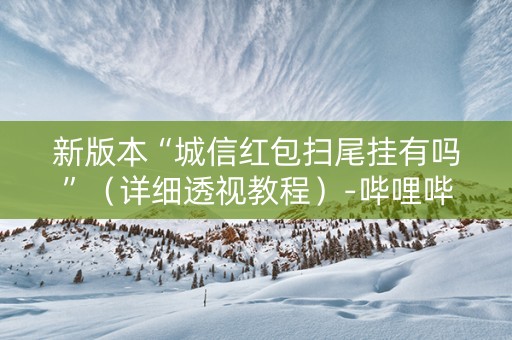 新版本“城信红包扫尾挂有吗”（详细透视教程）-哔哩哔哩