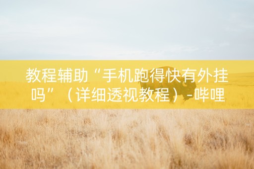 教程辅助“手机跑得快有外挂吗”（详细透视教程）-哔哩哔哩