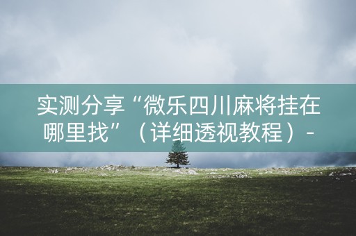 实测分享“微乐四川麻将挂在哪里找”（详细透视教程）-哔哩哔哩