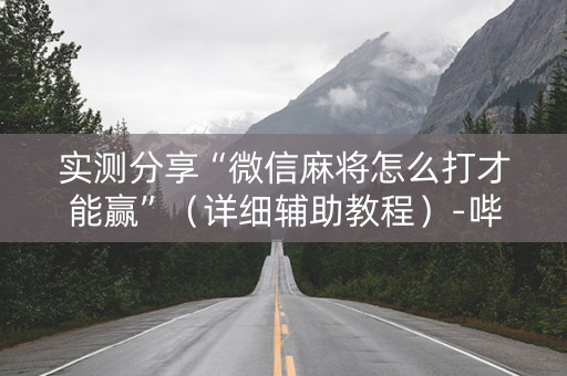 实测分享“微信麻将怎么打才能赢”（详细辅助教程）-哔哩哔哩