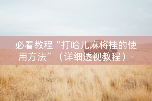 必看教程“打哈儿麻将挂的使用方法”（详细透视教程）-哔哩哔哩