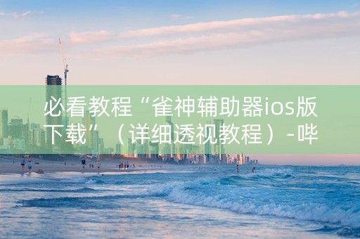 必看教程“雀神辅助器ios版下载”（详细透视教程）-哔哩哔哩