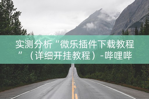 实测分析“微乐插件下载教程”（详细开挂教程）-哔哩哔哩