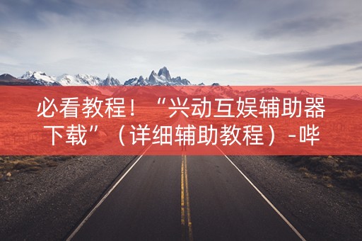 必看教程！“兴动互娱辅助器下载”（详细辅助教程）-哔哩哔哩