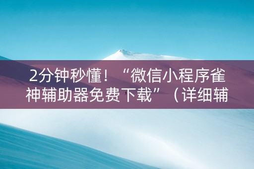 2分钟秒懂！“微信小程序雀神辅助器免费下载”（详细辅助教程）-哔哩哔哩