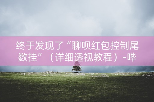 终于发现了“聊呗红包控制尾数挂”（详细透视教程）-哔哩哔哩