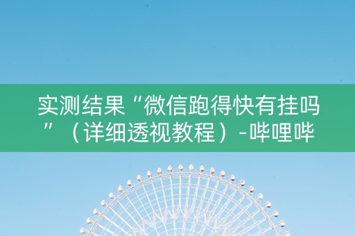 实测结果“微信跑得快有挂吗”（详细透视教程）-哔哩哔哩